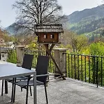 Haus Braun 贝希特斯加登